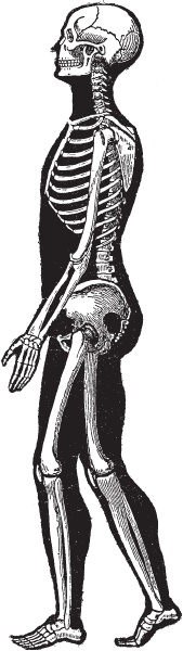 Иллюстрация к книге — Модицина 2. Апология [_61.jpg]