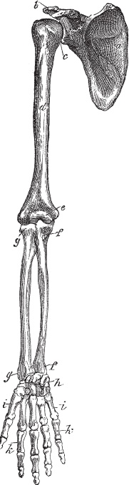 Иллюстрация к книге — Модицина 2. Апология [_73.jpg]