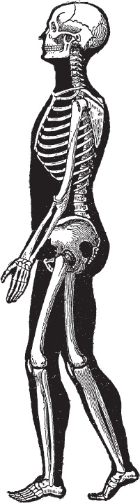 Иллюстрация к книге — Модицина 2. Апология [_77.jpg]