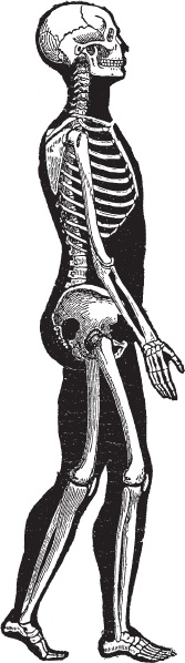 Иллюстрация к книге — Модицина 2. Апология [_78.jpg]