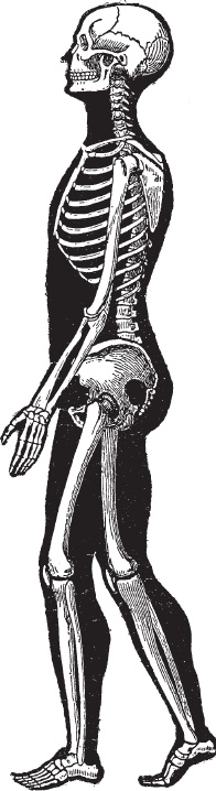 Иллюстрация к книге — Модицина 2. Апология [_82.jpg]