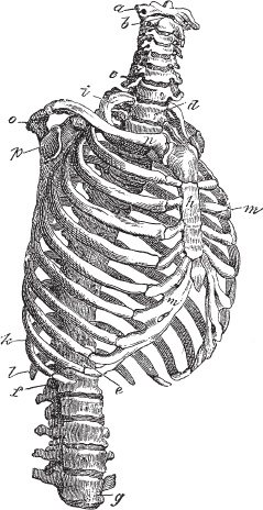 Иллюстрация к книге — Модицина 2. Апология [_89.jpg]