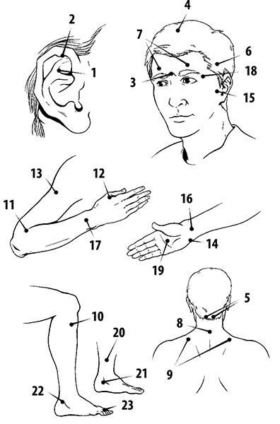 Иллюстрация к книге — Гипертония. Современная энциклопедия [i_006.jpg]