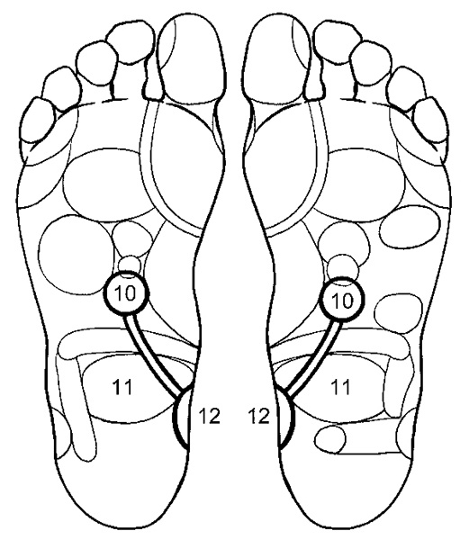 Иллюстрация к книге — Гипертония. Современная энциклопедия [i_007.jpg]