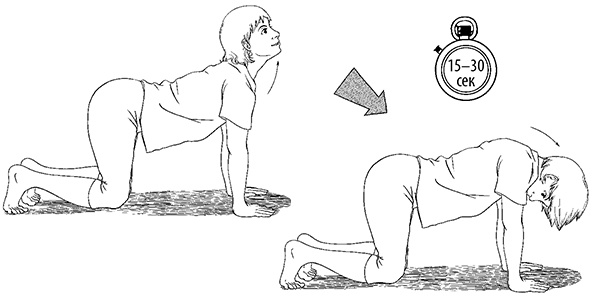 Иллюстрация к книге — Гипертония. Современная энциклопедия [i_059.jpg]