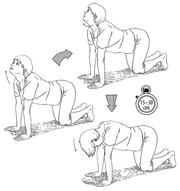 Иллюстрация к книге — Гипертония. Современная энциклопедия [i_060.jpg]