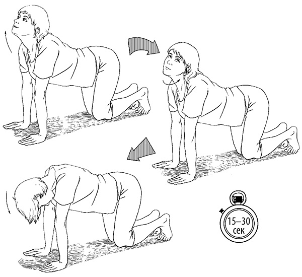 Иллюстрация к книге — Гипертония. Современная энциклопедия [i_061.jpg]