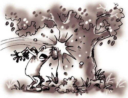 Иллюстрация к книге — Секреты женской биолокации. Эмоциональное введение в Многомерную медицину. Радиэстезия - путь к гармонии и счастью [autogen_ebook_id16.jpg]