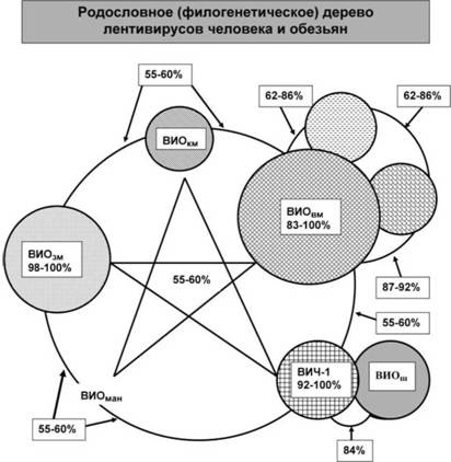 Иллюстрация к книге — Имя ему СПИД. Четвертый всадник Апокалипсиса [i_028.jpg]