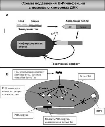 Иллюстрация к книге — Имя ему СПИД. Четвертый всадник Апокалипсиса [i_051.jpg]