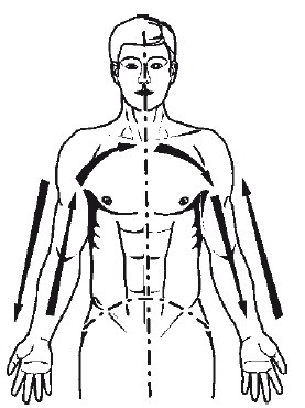 Иллюстрация к книге — Исцеление и профилактика сосудистых заболеваний. Учение Травинки [i_010.jpg]
