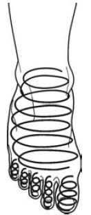 Иллюстрация к книге — Исцеление и профилактика сосудистых заболеваний. Учение Травинки [i_013.jpg]