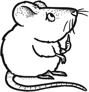 Иллюстрация к книге — Хакни рутину. Как алгоритмы помогают справляться с беспорядком, не тупить в супермаркете и жить проще [i_022.jpg]