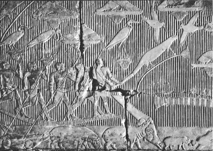 Иллюстрация к книге — Культура Древнего Египта. Материальное и духовное наследие народов долины Нила [i_007.jpg]