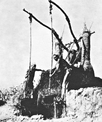 Иллюстрация к книге — Культура Древнего Египта. Материальное и духовное наследие народов долины Нила [i_010.jpg]