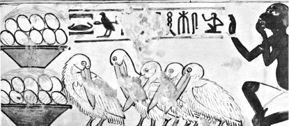 Иллюстрация к книге — Культура Древнего Египта. Материальное и духовное наследие народов долины Нила [i_043.jpg]