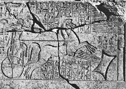 Иллюстрация к книге — Культура Древнего Египта. Материальное и духовное наследие народов долины Нила [i_052.jpg]