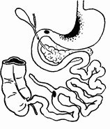 Иллюстрация к книге — Этюды желудочной хирургии [i_019.jpg]
