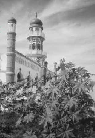 Иллюстрация к книге — Тайны великой пустыни. Миражи Такла-Макан [i_008.jpg]