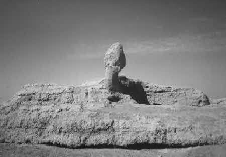 Иллюстрация к книге — Тайны великой пустыни. Миражи Такла-Макан [i_016.jpg]