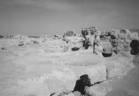 Иллюстрация к книге — Тайны великой пустыни. Миражи Такла-Макан [i_017.jpg]