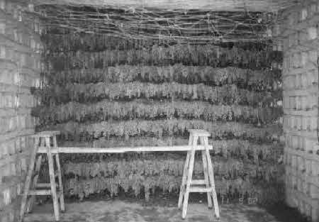 Иллюстрация к книге — Тайны великой пустыни. Миражи Такла-Макан [i_023.jpg]