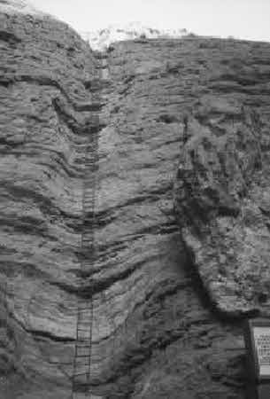 Иллюстрация к книге — Тайны великой пустыни. Миражи Такла-Макан [i_028.jpg]