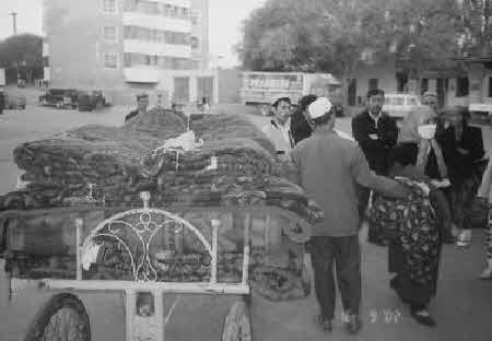 Иллюстрация к книге — Тайны великой пустыни. Миражи Такла-Макан [i_062.jpg]