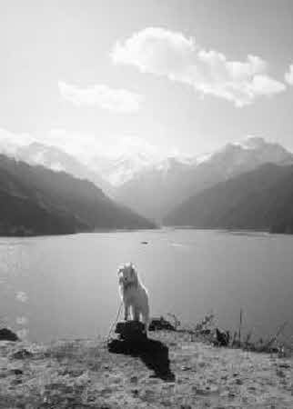 Иллюстрация к книге — Тайны великой пустыни. Миражи Такла-Макан [i_072.jpg]