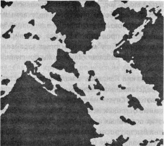 Иллюстрация к книге — Мир многих миров. Физики в поисках иных вселенных [image021.jpg]