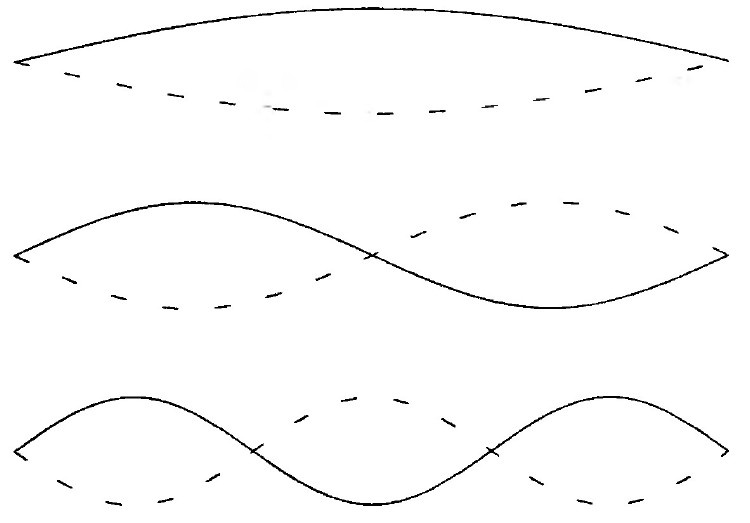 Иллюстрация к книге — Мир многих миров. Физики в поисках иных вселенных [image038.jpg]