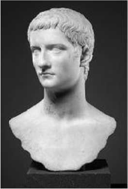 Иллюстрация к книге — От Калигулы до королевы Марго [image4.jpg]