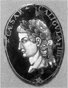 Иллюстрация к книге — От Калигулы до королевы Марго [image5.jpg]