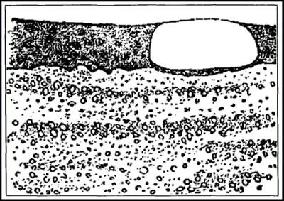 Иллюстрация к книге — Гибель богов в эпоху Огня и Камня [i_010.jpg]