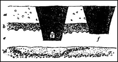 Иллюстрация к книге — Гибель богов в эпоху Огня и Камня [i_019.jpg]