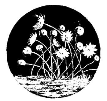 Иллюстрация к книге — Десять самых красивых экспериментов в истории науки [i_014.jpg]