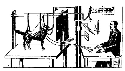 Иллюстрация к книге — Десять самых красивых экспериментов в истории науки [i_047.jpg]
