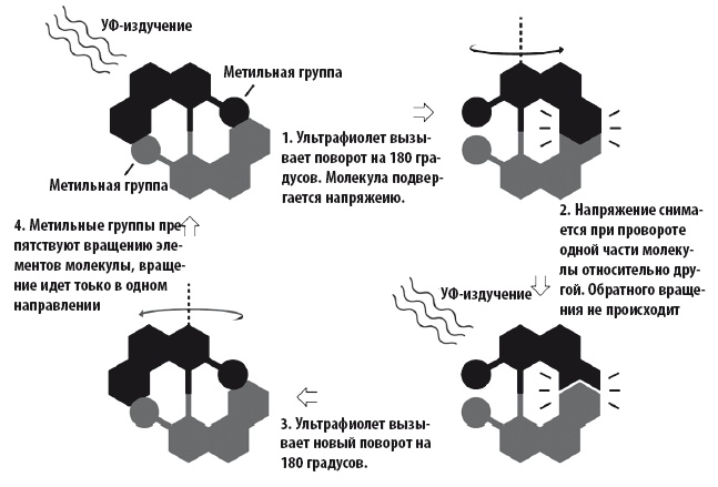 Иллюстрация к книге — Жизнь замечательных веществ [i_409.jpg]