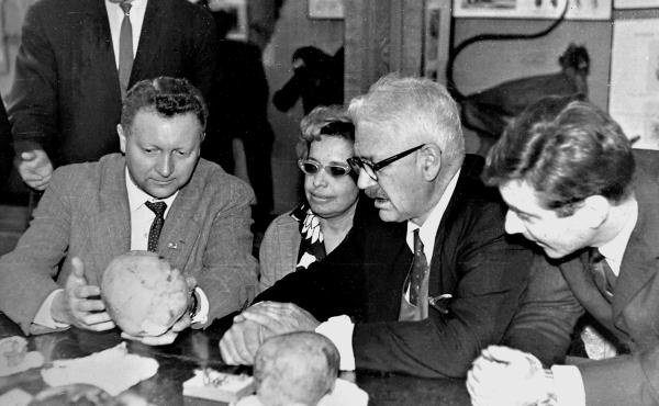 Иллюстрация к книге — Расы Европы [_12.jpg]