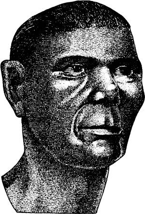 Иллюстрация к книге — Расы Европы [_15.jpg]