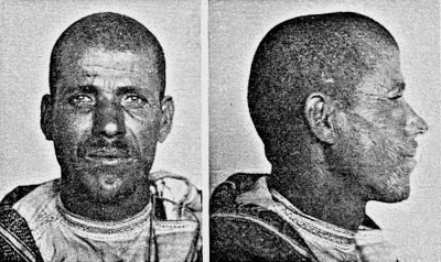 Иллюстрация к книге — Расы Европы [_181.jpg]