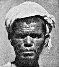 Иллюстрация к книге — Расы Европы [_186.jpg]