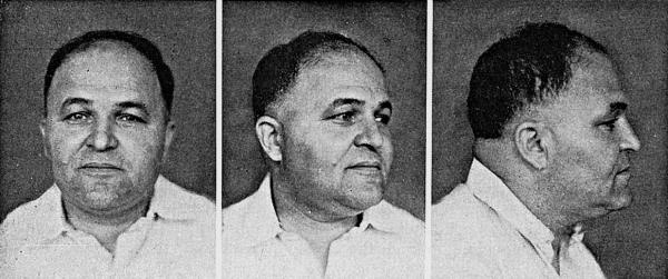 Иллюстрация к книге — Расы Европы [_206.jpg]