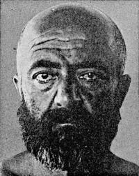 Иллюстрация к книге — Расы Европы [_208.jpg]