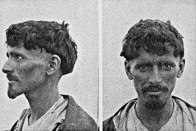 Иллюстрация к книге — Расы Европы [_215.jpg]