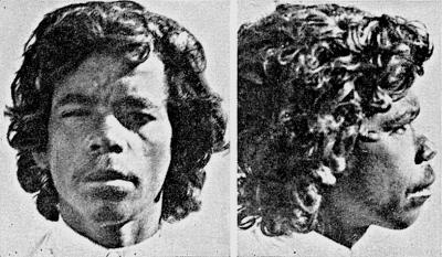 Иллюстрация к книге — Расы Европы [_233.jpg]