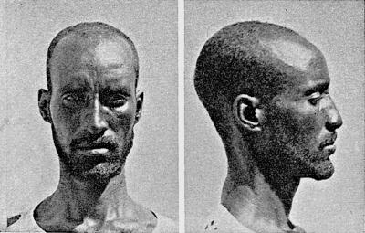 Иллюстрация к книге — Расы Европы [_236.jpg]