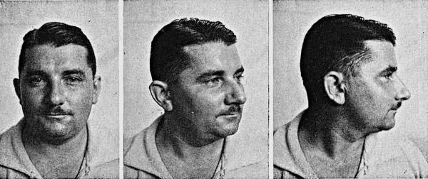 Иллюстрация к книге — Расы Европы [_308.jpg]