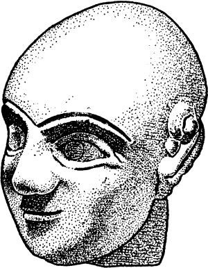 Иллюстрация к книге — Расы Европы [_31.jpg]