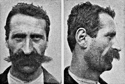 Иллюстрация к книге — Расы Европы [_321.jpg]